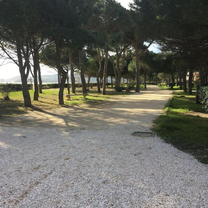 F3 Classe Meuble Tourisme "Gites De France" A 80 Metres De La Plage Argelès-sur-Mer Exteriér fotografie