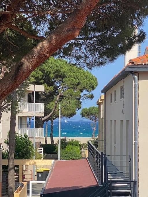 F3 Classe Meuble Tourisme "Gites De France" A 80 Metres De La Plage Argelès-sur-Mer Exteriér fotografie